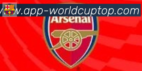世界杯APP下载合作伙伴